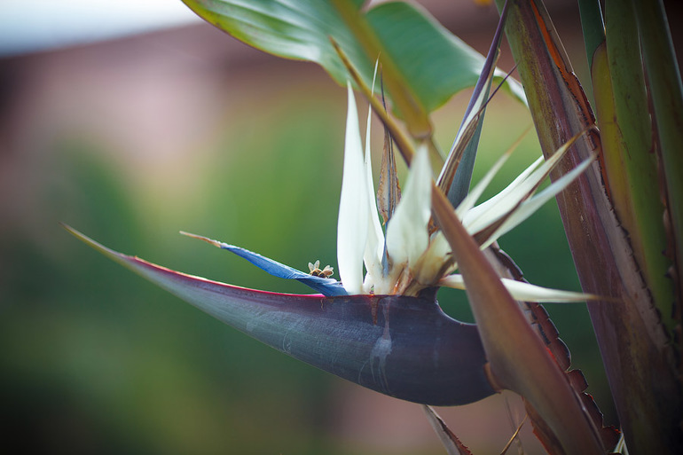 Отдых в Италии (Калабрия) Клаб Порто Ада
