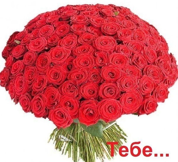 ffeee1fcaca75e22cd251467723bf2e6.jpg