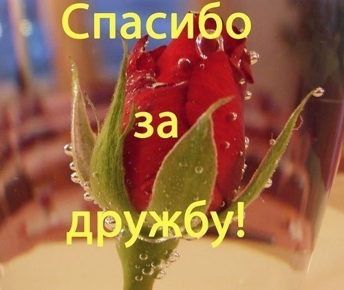 dc4f9fe9ecedd04fbe4756c7c6093d06.jpg