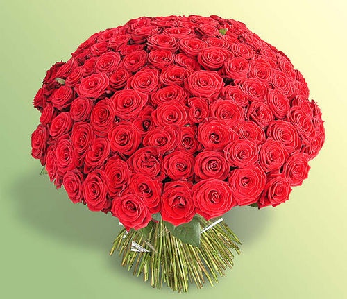 feecb661875a607a865a803d3e88b9bd.jpg