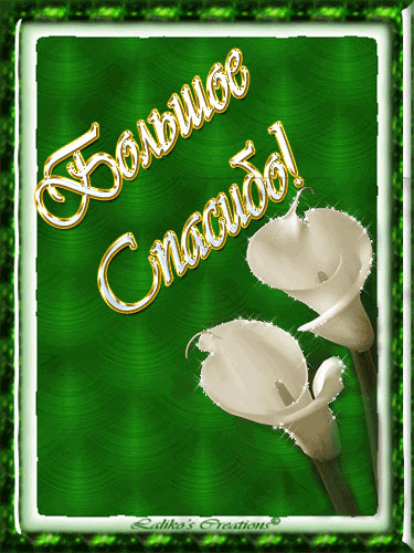 Хотим сказать огромное спасибо