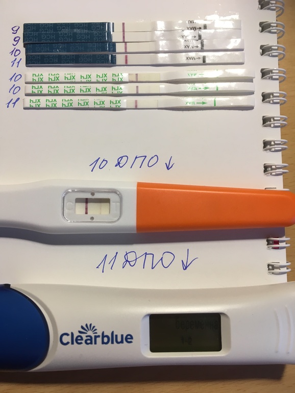 Сроки биохимической беременности. Биохимическая беременность тесты. Тесты при бхб беременности. Биохимическая беременность и тесты на беременность. Биохимическая беременность на тестах.