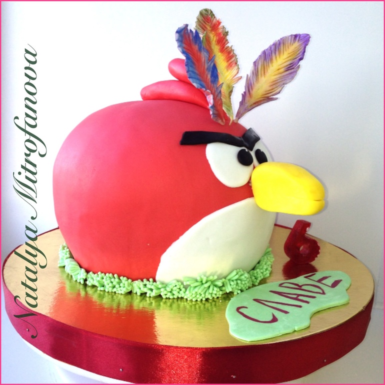 Энгри собрался на индейскую вечеринку к сыну))