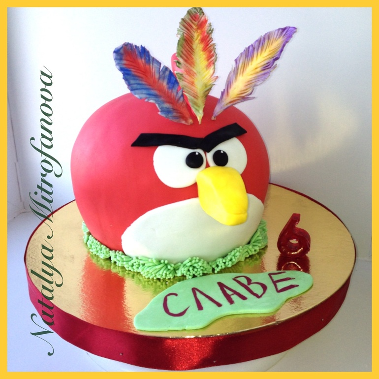 Энгри собрался на индейскую вечеринку к сыну))