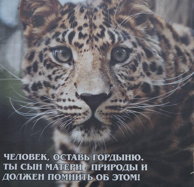 Зоопарк