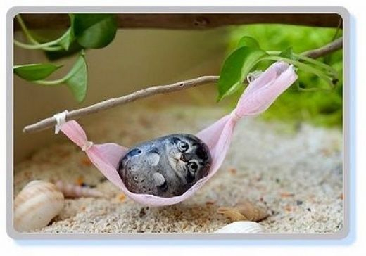 Морские камушки