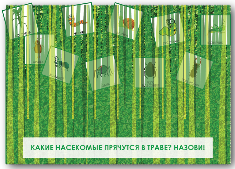 игра в прятки для изучения насекомых для детей 3,4,5 лет
