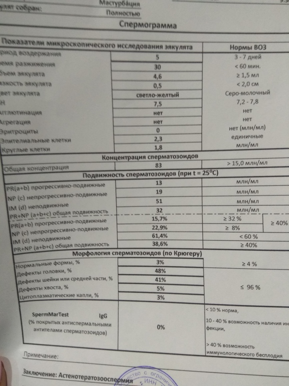 Нормоспермия. Морфология спермограммы норма. Спермограмма с морфологией по Крюгеру. Таблица нормы спермограммы по Крюгеру. Морфология спермограмма норма.