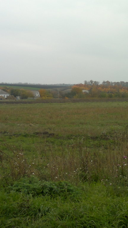 Моя Родина...