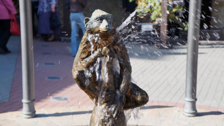 Абрау-Дюрсо. 20.10.13.