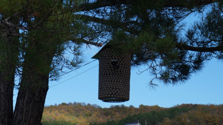 Абрау-Дюрсо. 20.10.13.