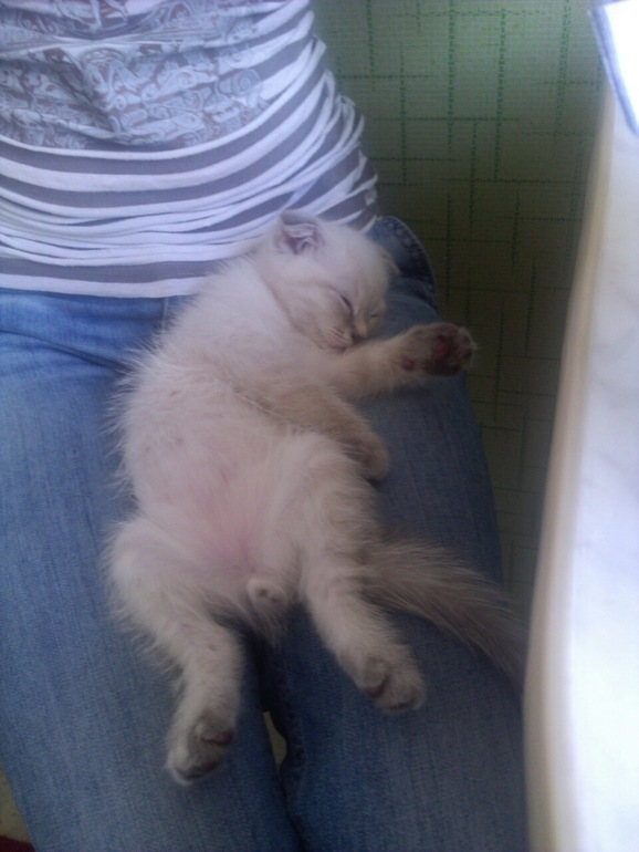 Фотобатл, кто красивее?