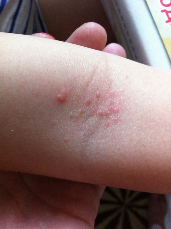 Что это может быть?