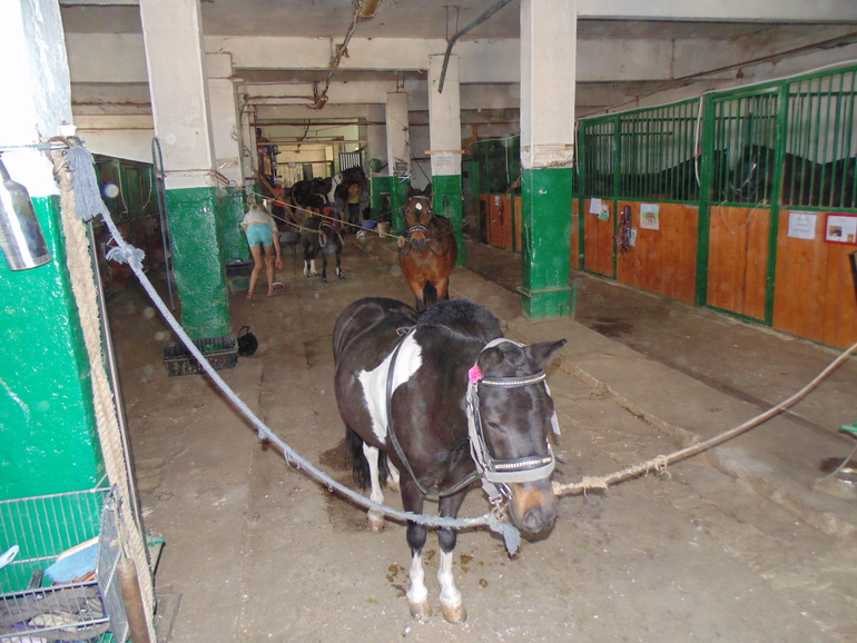 КСК последнее занятие этого сезона