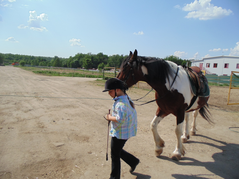 КСК последнее занятие этого сезона