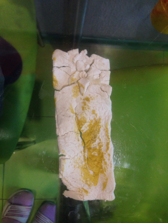 День первый