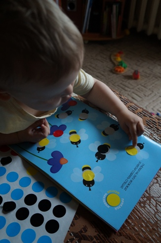 Радужная неделя! Или наша ТН Цвета