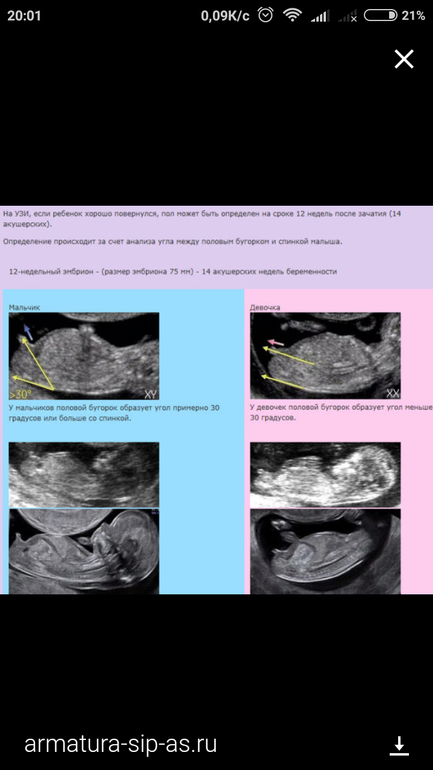 Определить пол по фото