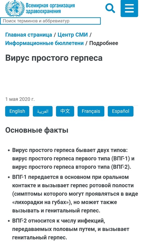 Можно Ли Оральный Секс При Герпесе