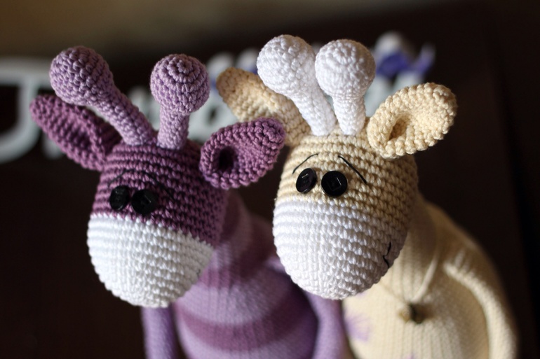 Парочка семейная )))))