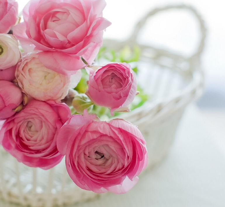 Счастье - это...