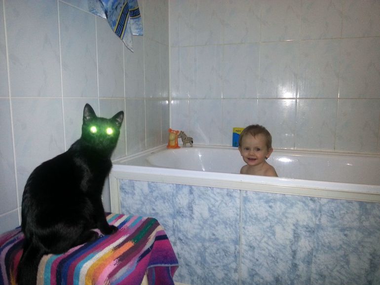 Лера и кот