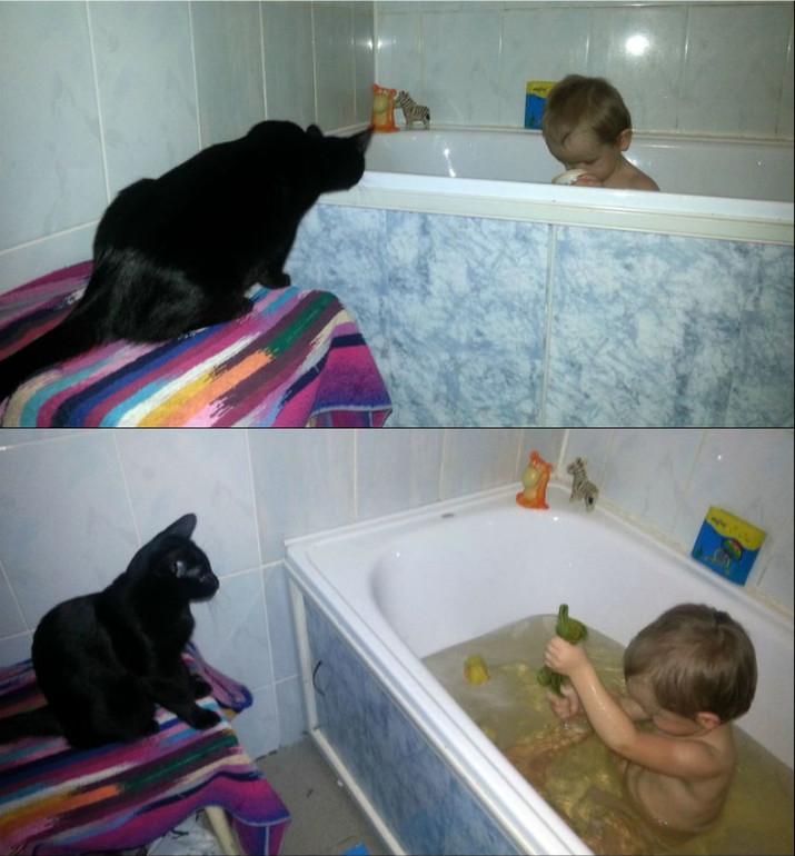 Лера и кот