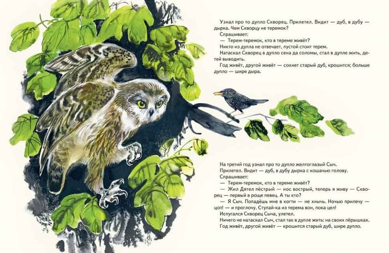 "Тоненькие" новинки Речи