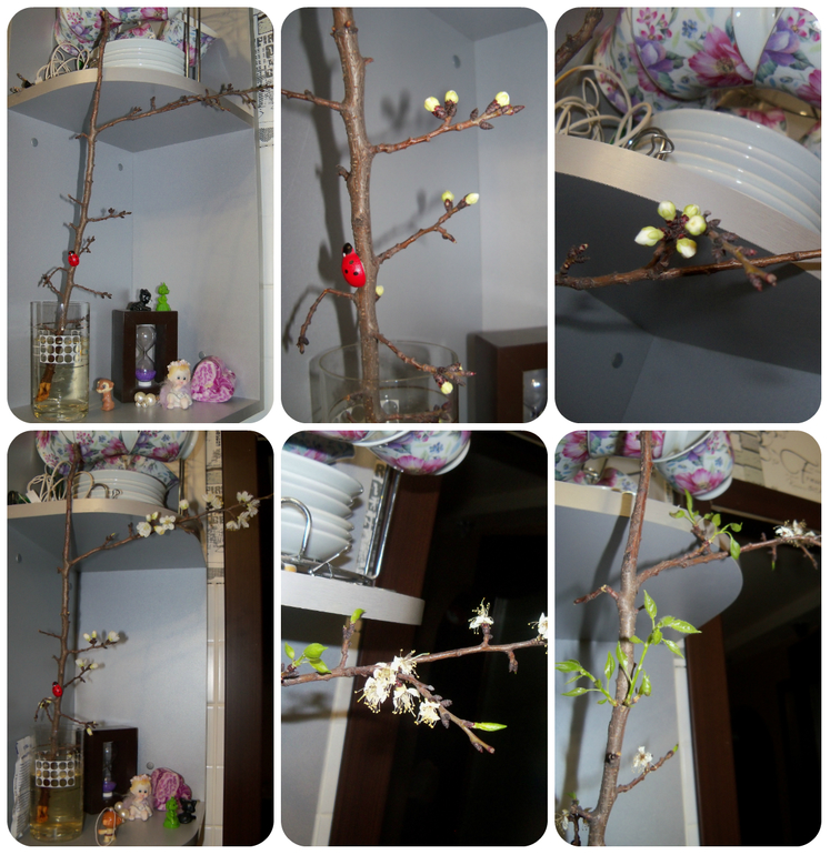 Наше весеннее в 2014. Миру год и 10-11 мес.