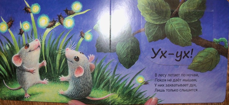 Наше развитие речи