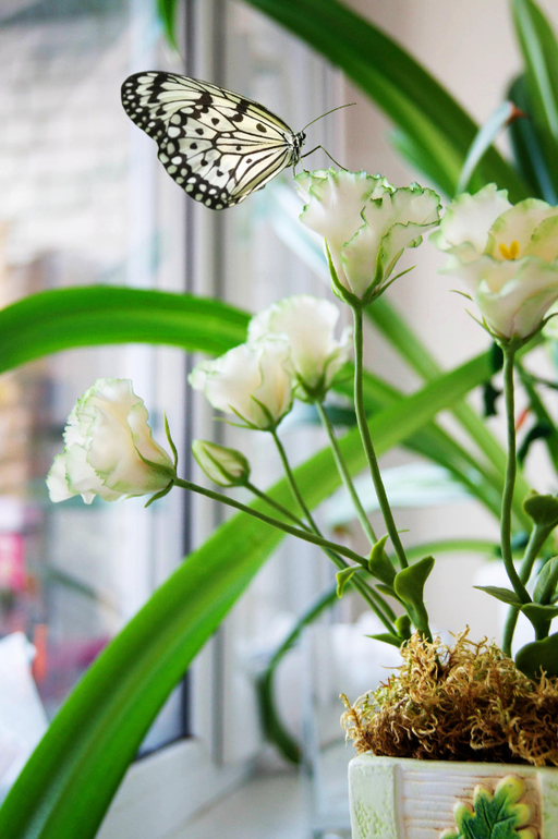 Контрольное задание № 9. Использование масок слоев