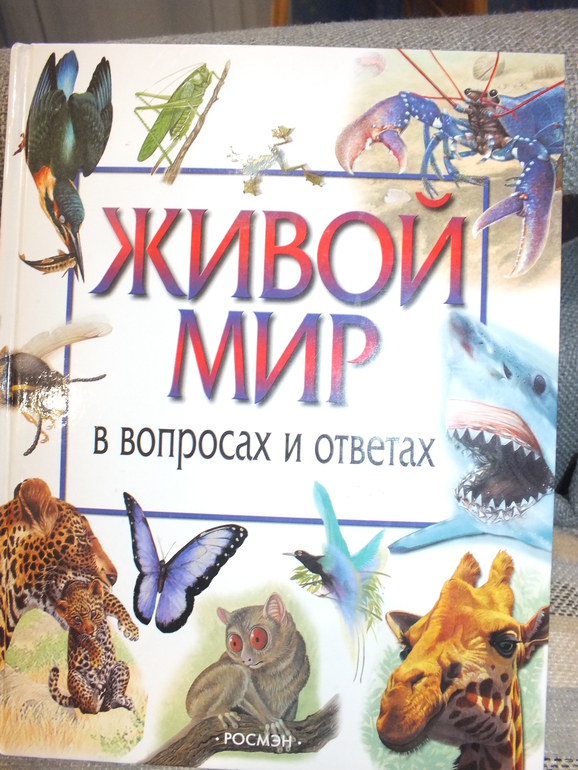 ТН подводный мир и его обитатели.