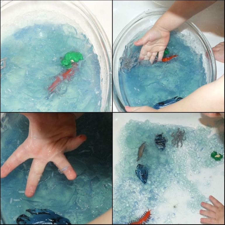 ТН подводный мир и его обитатели.