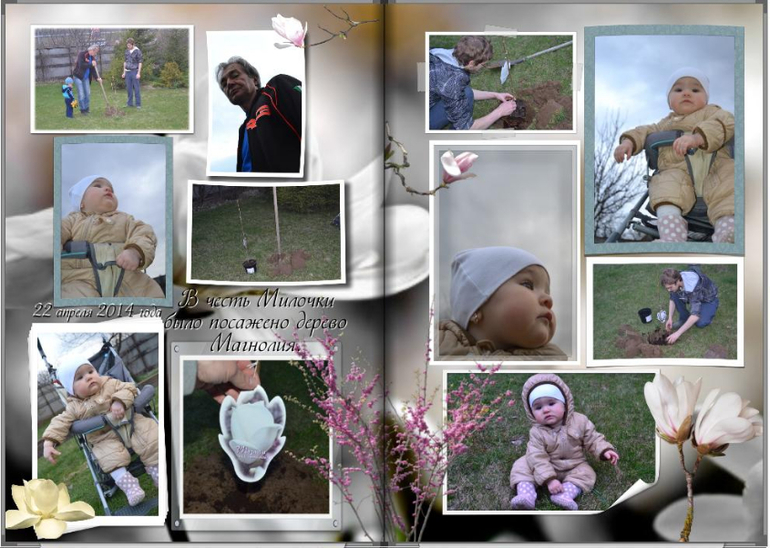 Мои фотокниги: Милослава