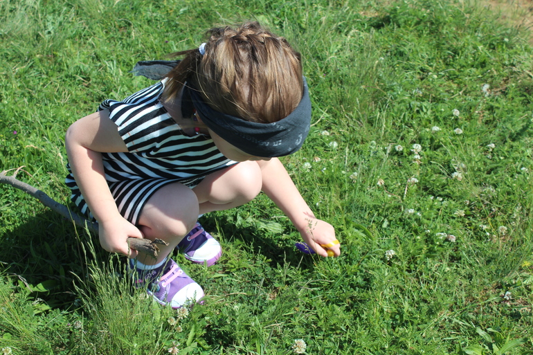 Сокровища пиратов