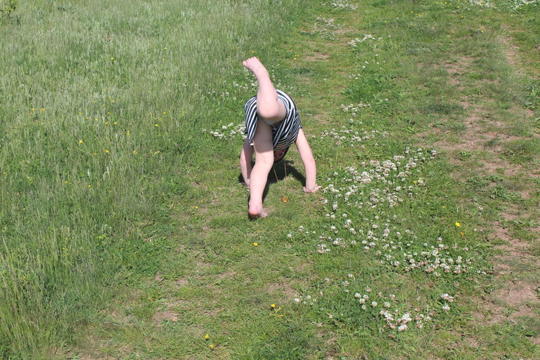 Сокровища пиратов