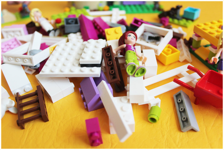 Конструкторы-любимцы