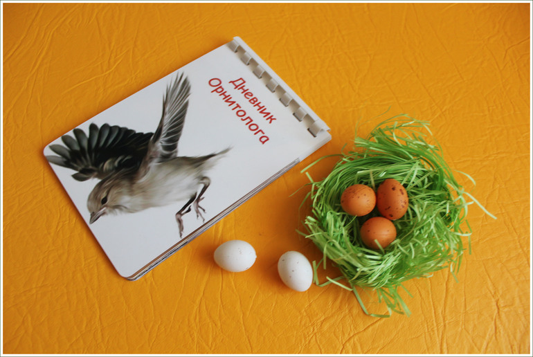 Дела птичьи )