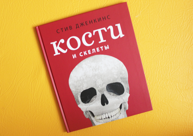 Книга кости. Clue the screaming Skeleton book.