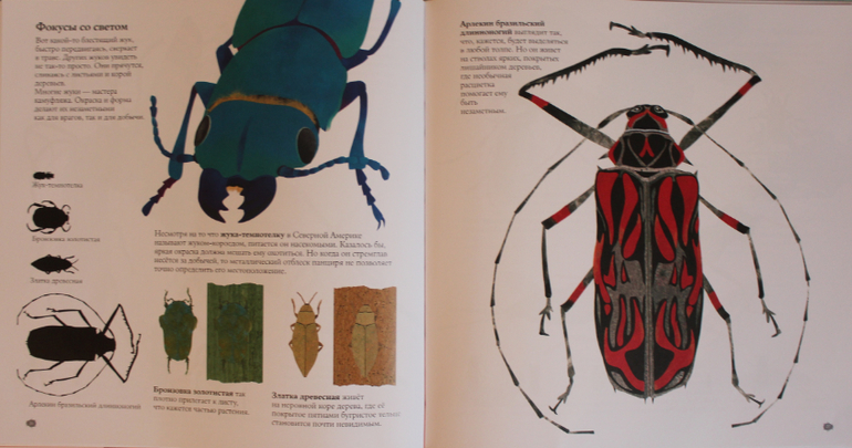 Наша книжная жизнь