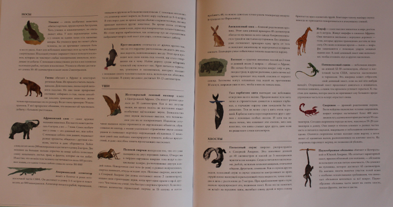 Наша книжная жизнь