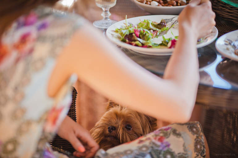 Девичник. полная серия)