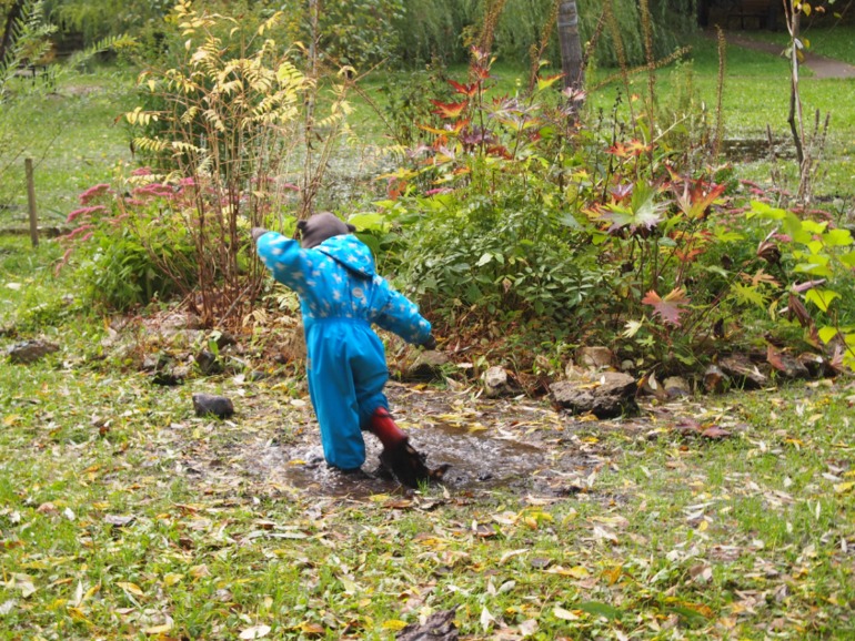 Осень (много фото)