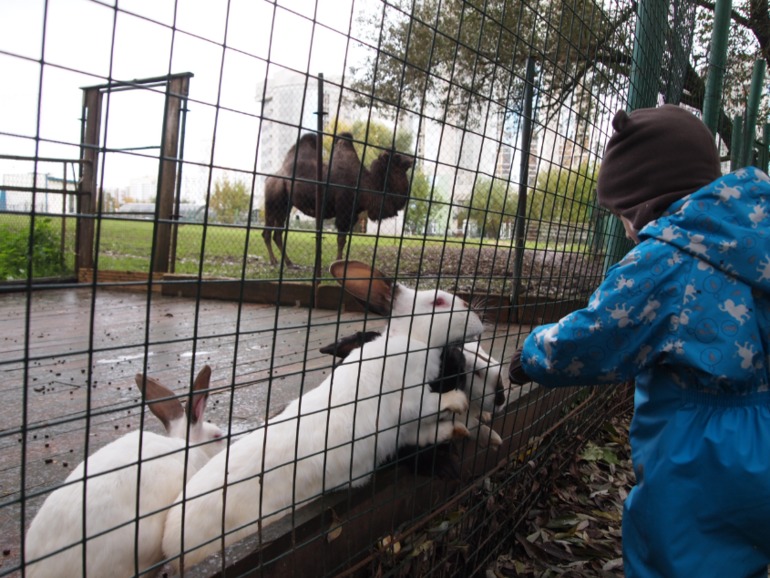 Осень (много фото)