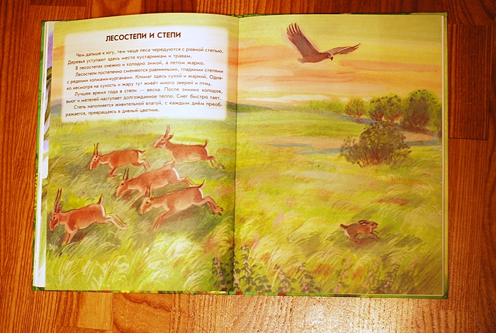 Книга о животных и маленькие географические атласы.