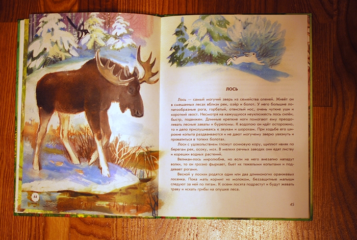 Книга о животных и маленькие географические атласы.