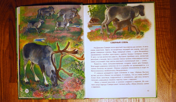 Книга о животных и маленькие географические атласы.