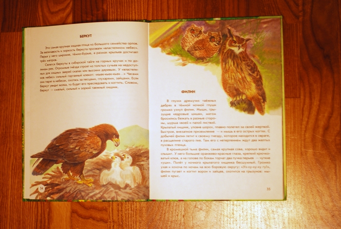 Книга о животных и маленькие географические атласы.