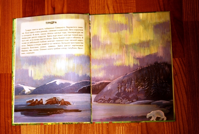 Книга о животных и маленькие географические атласы.