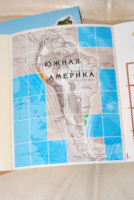 Книга о животных и маленькие географические атласы.